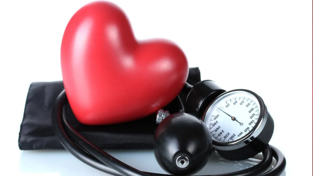 Cannabis oil hypertension